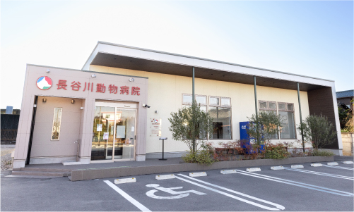 長谷川動物病院