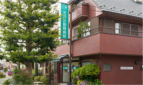 光が丘動物病院グループ