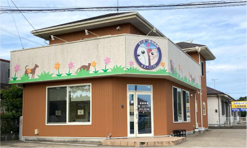 そとぼう動物病院