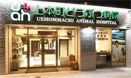 上本町どうぶつ病院